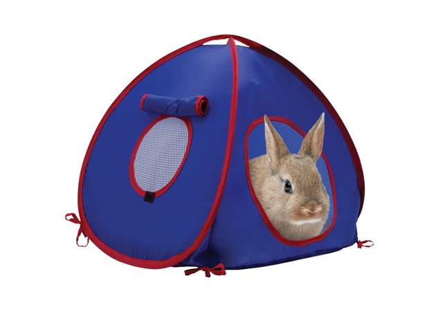 Pet Tents