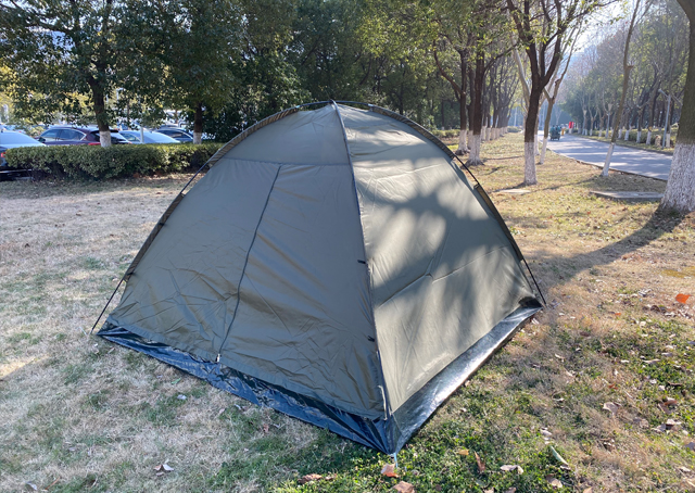 Carp Tents